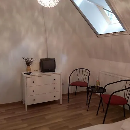 Platanus Vendeghaz B&B 3*